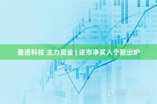 盈透科技 主力资金 | 逆市净买入个股出炉